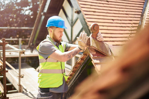 Best Commercial Roofing Services  in Lake Vla, IL