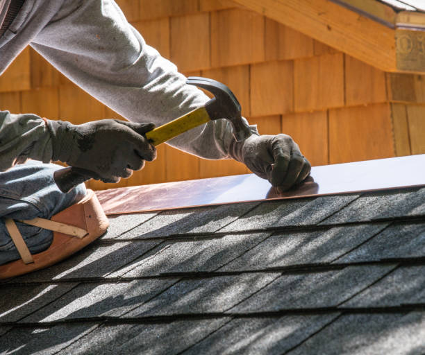 Best Commercial Roofing Services  in Lake Vla, IL